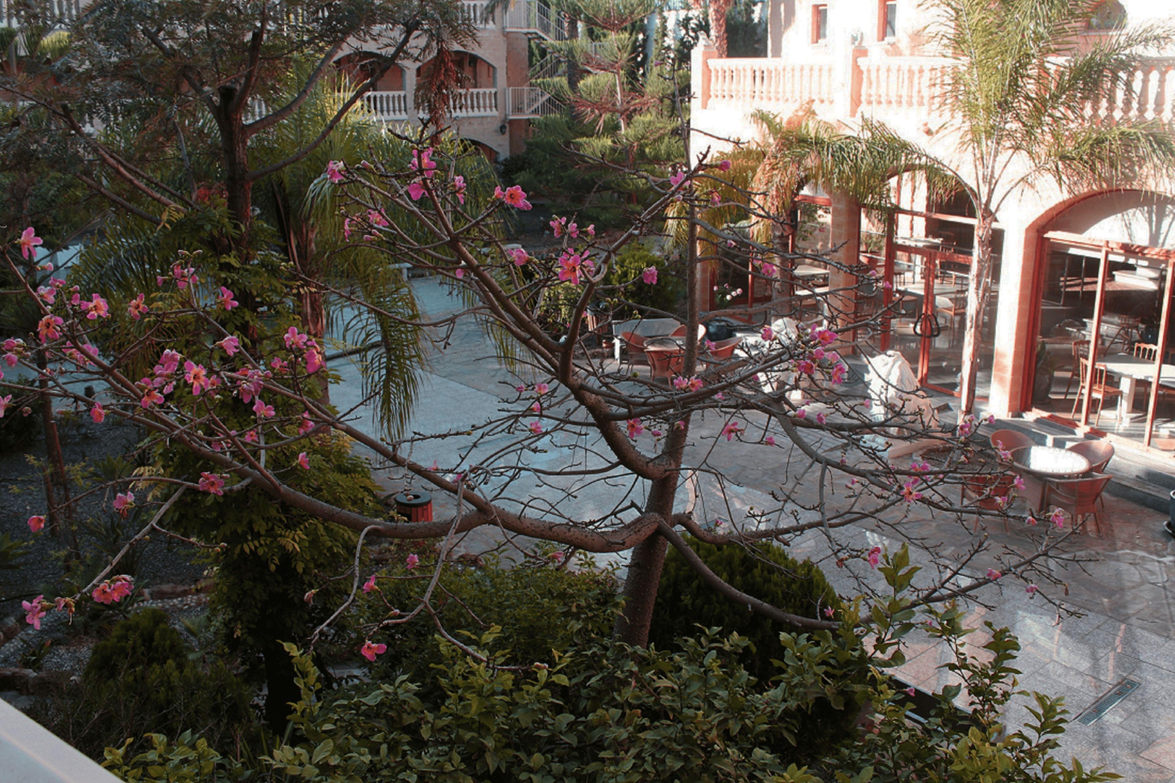 Hotel Plaza Del Castillo — Photos 1